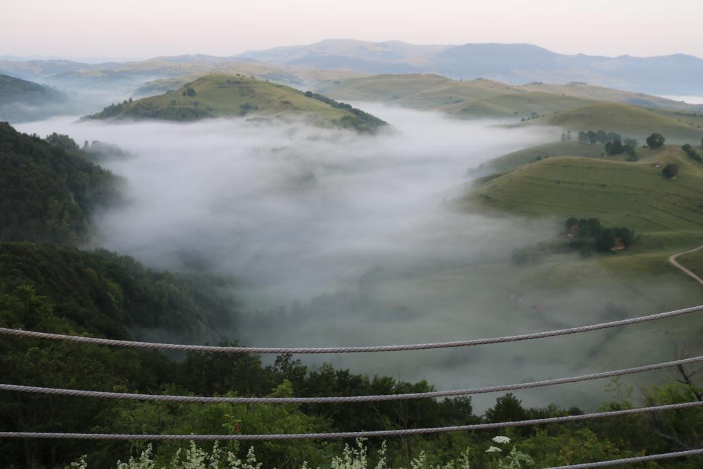 Raven'S Nest Hotel Sălciua de Jos Zewnętrze zdjęcie