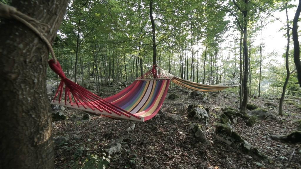 Raven'S Nest Hotel Sălciua de Jos Zewnętrze zdjęcie