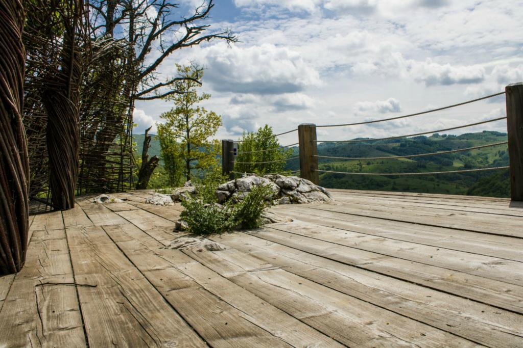 Raven'S Nest Hotel Sălciua de Jos Zewnętrze zdjęcie