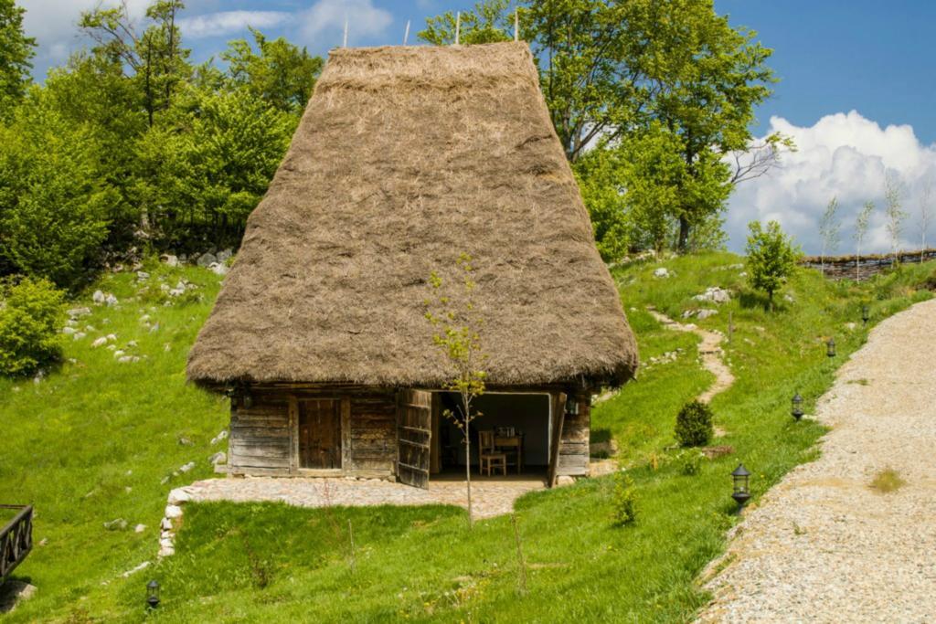 Raven'S Nest Hotel Sălciua de Jos Zewnętrze zdjęcie