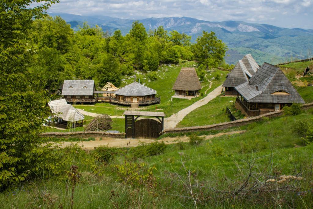 Raven'S Nest Hotel Sălciua de Jos Zewnętrze zdjęcie