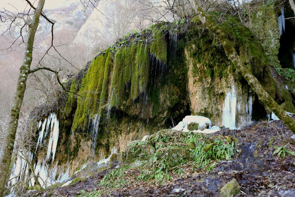 Raven'S Nest Hotel Sălciua de Jos Zewnętrze zdjęcie