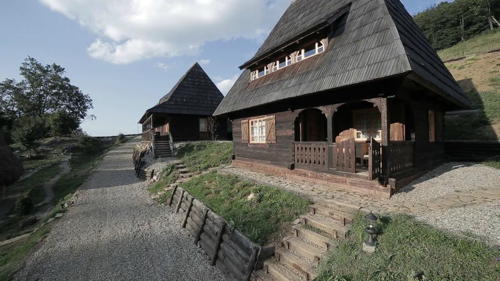 Raven'S Nest Hotel Sălciua de Jos Zewnętrze zdjęcie