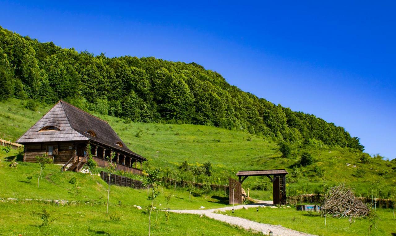 Raven'S Nest Hotel Sălciua de Jos Zewnętrze zdjęcie